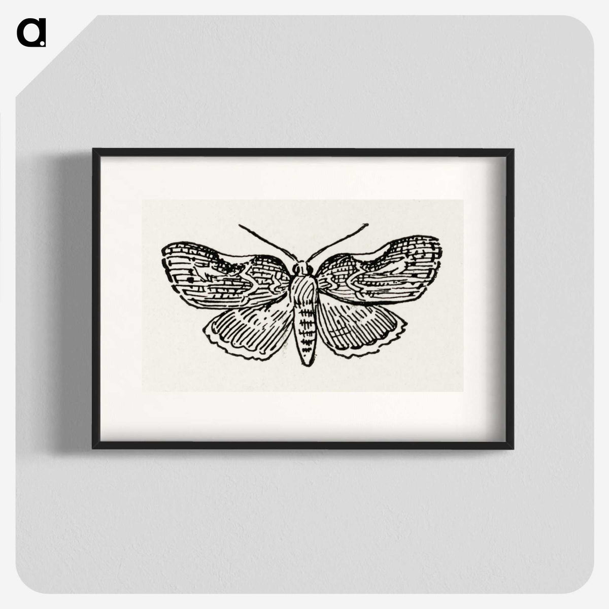 1-93_Moths-and-Butterflies-of-the-United-States_blk