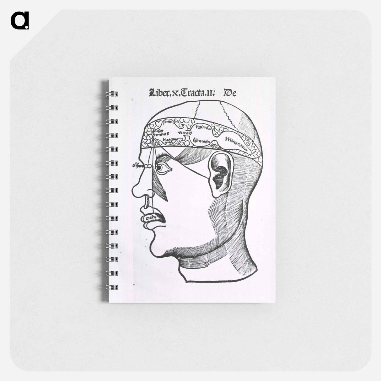 アートメモ帳-The Senses and the Brain
- 国立医学図書館 Memo.