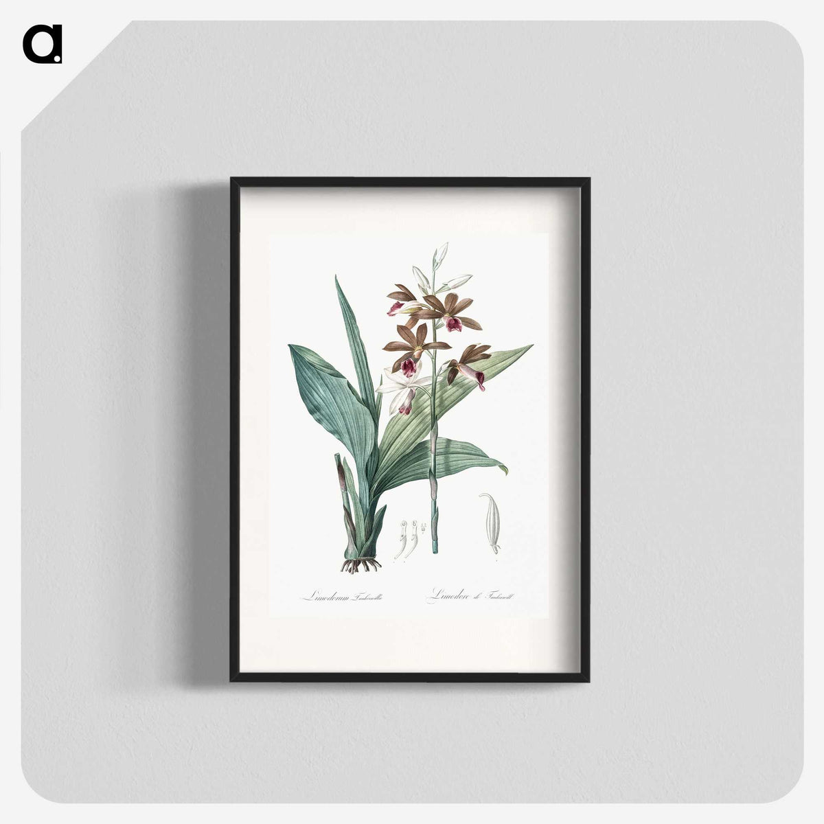 1-93_The-Lilies_blk
