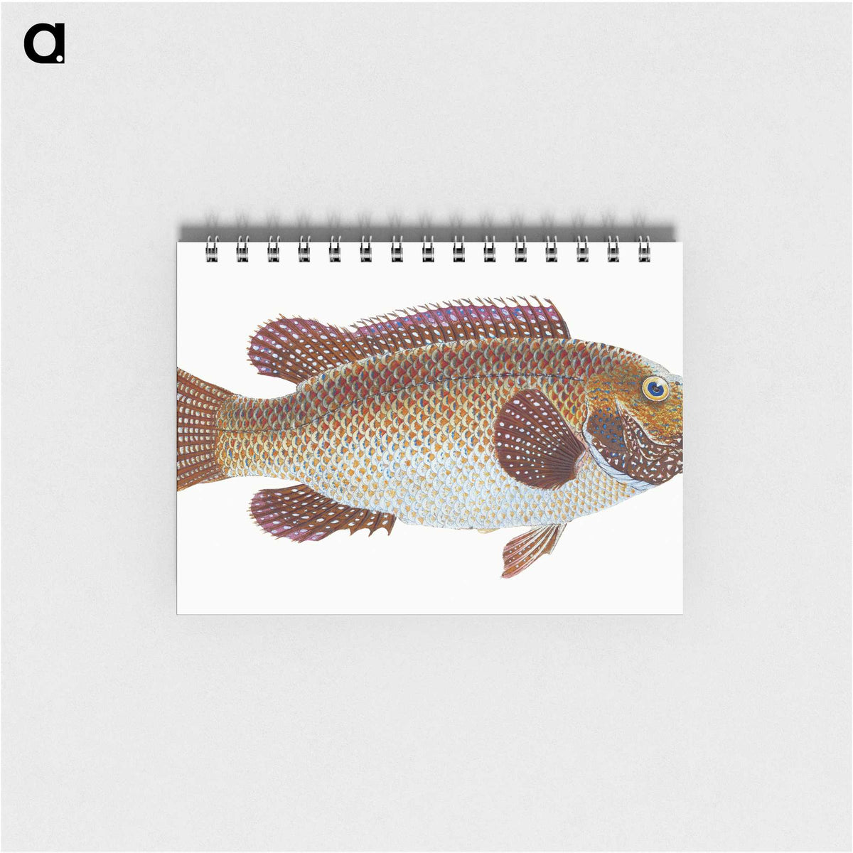 1-93_The-Natural-History-of-British-Fishes_memo
