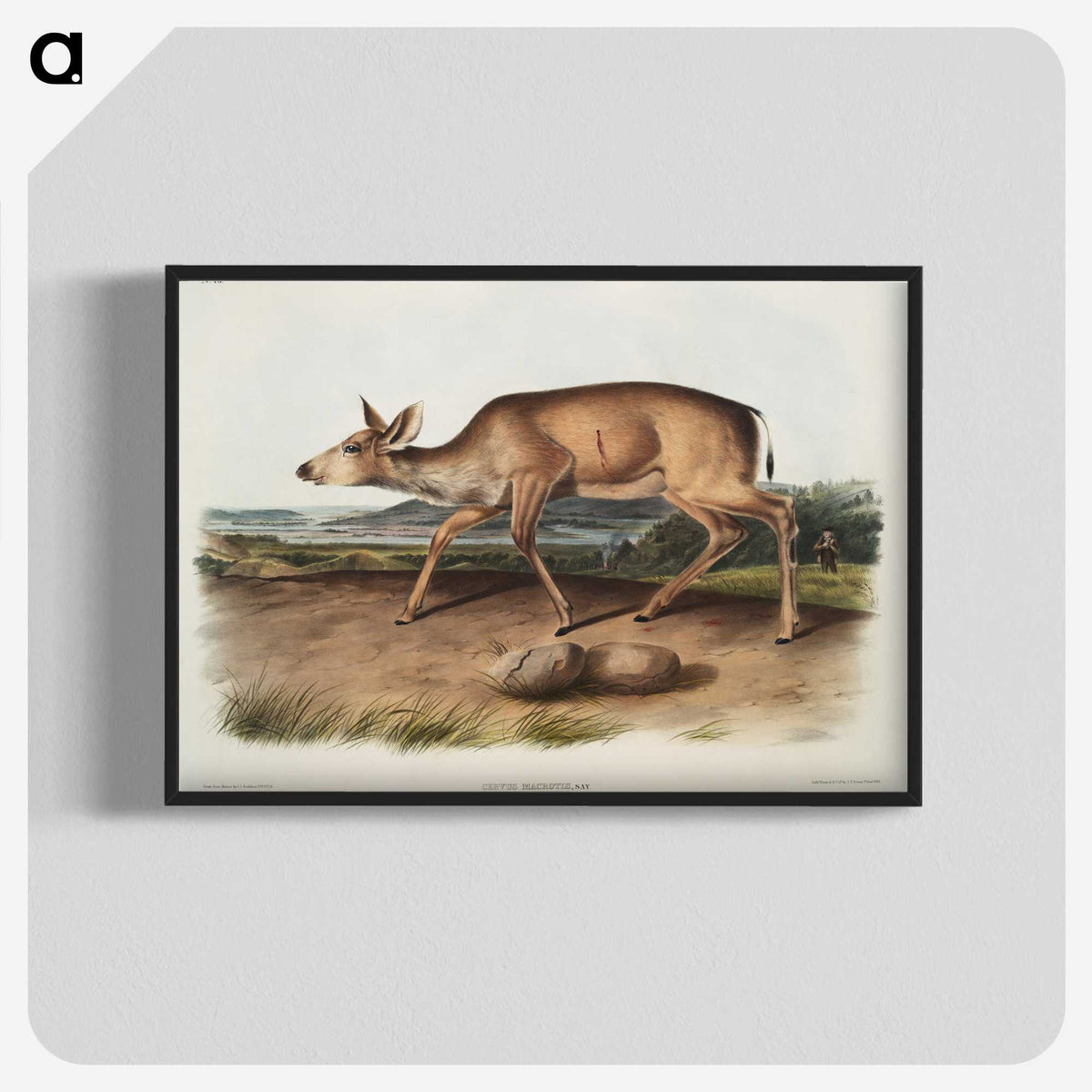 1-93_The-Viviparous-Quadrupeds_blk-crop
