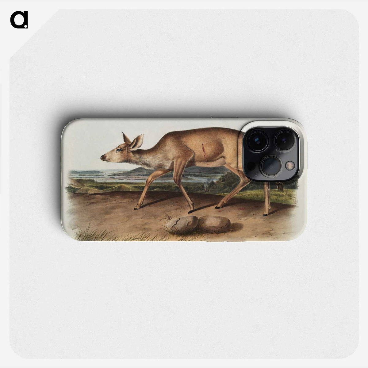 1-93_The-Viviparous-Quadrupeds_phone