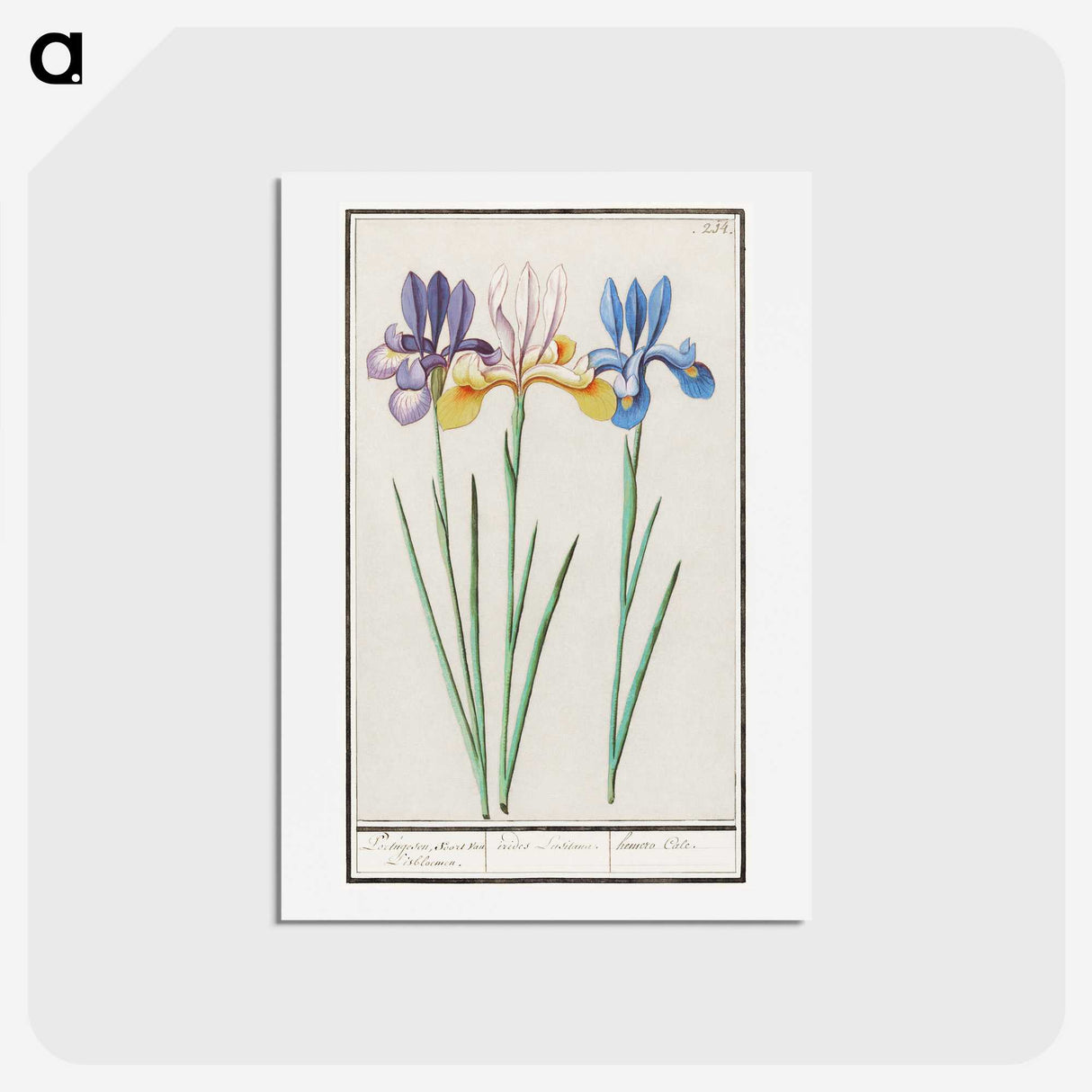 1-94_Anselmus-Boetius-de-Boodt_hagaki