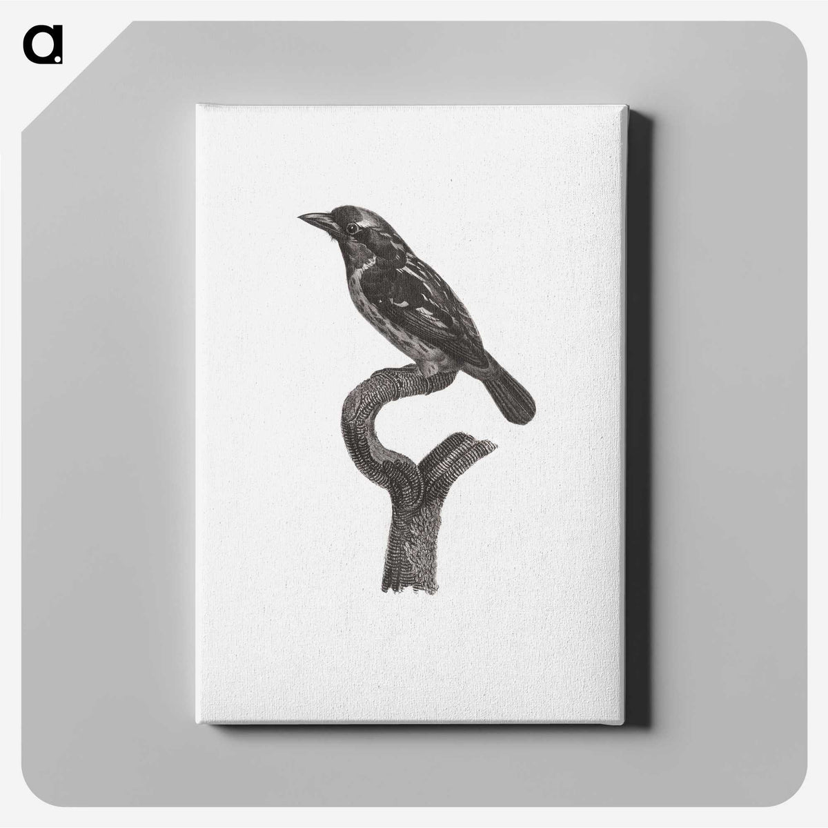 1-94_Des-Oiseaux-de-Paradis_canvas