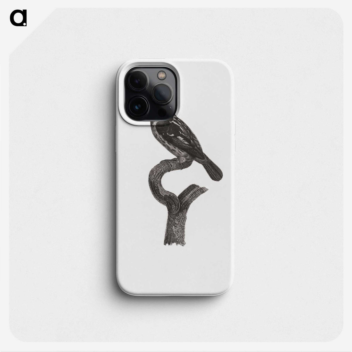 1-94_Des-Oiseaux-de-Paradis_phone