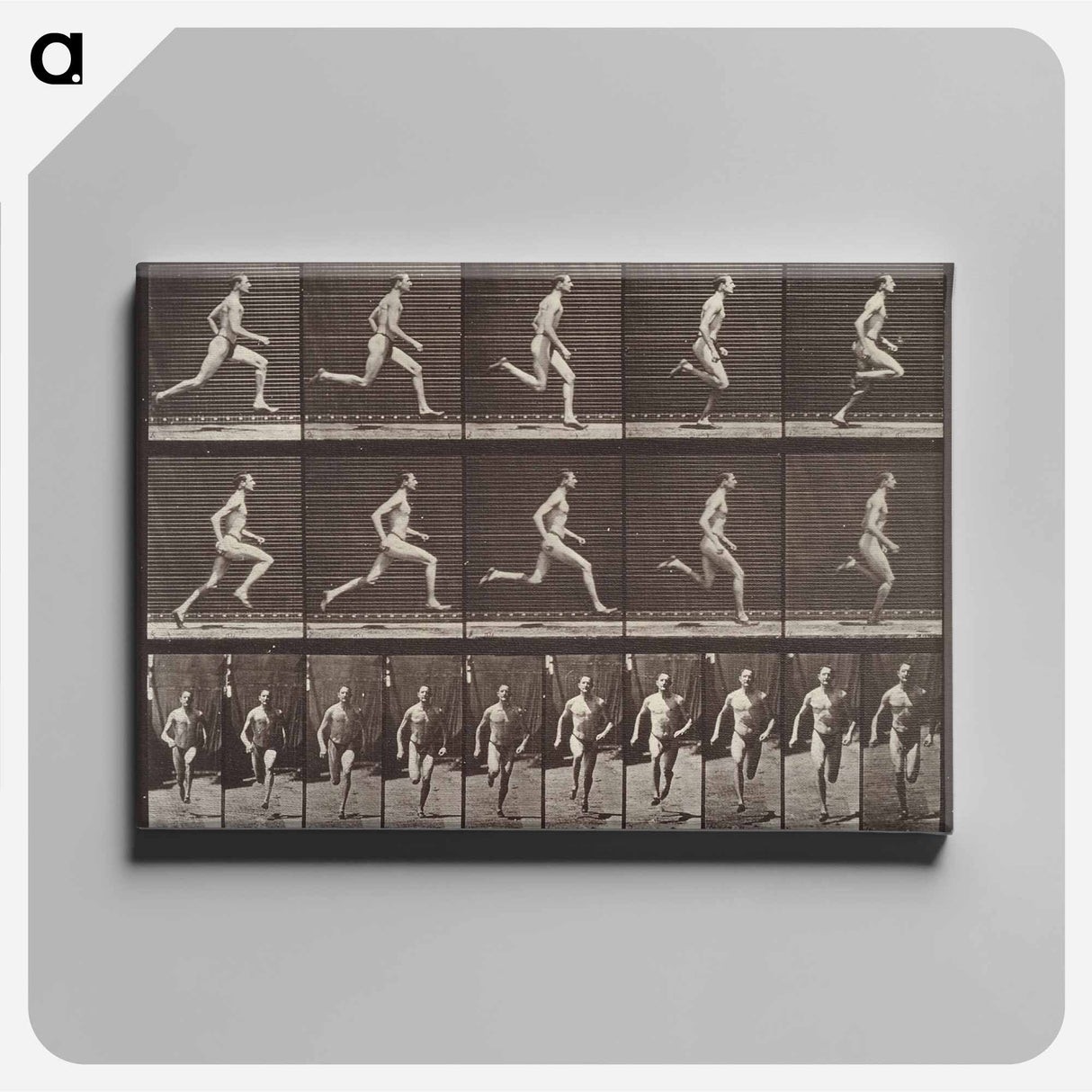 アートパネル-Animal Locomotion Plate 60
- エドワード マイブリッジ Canvas.