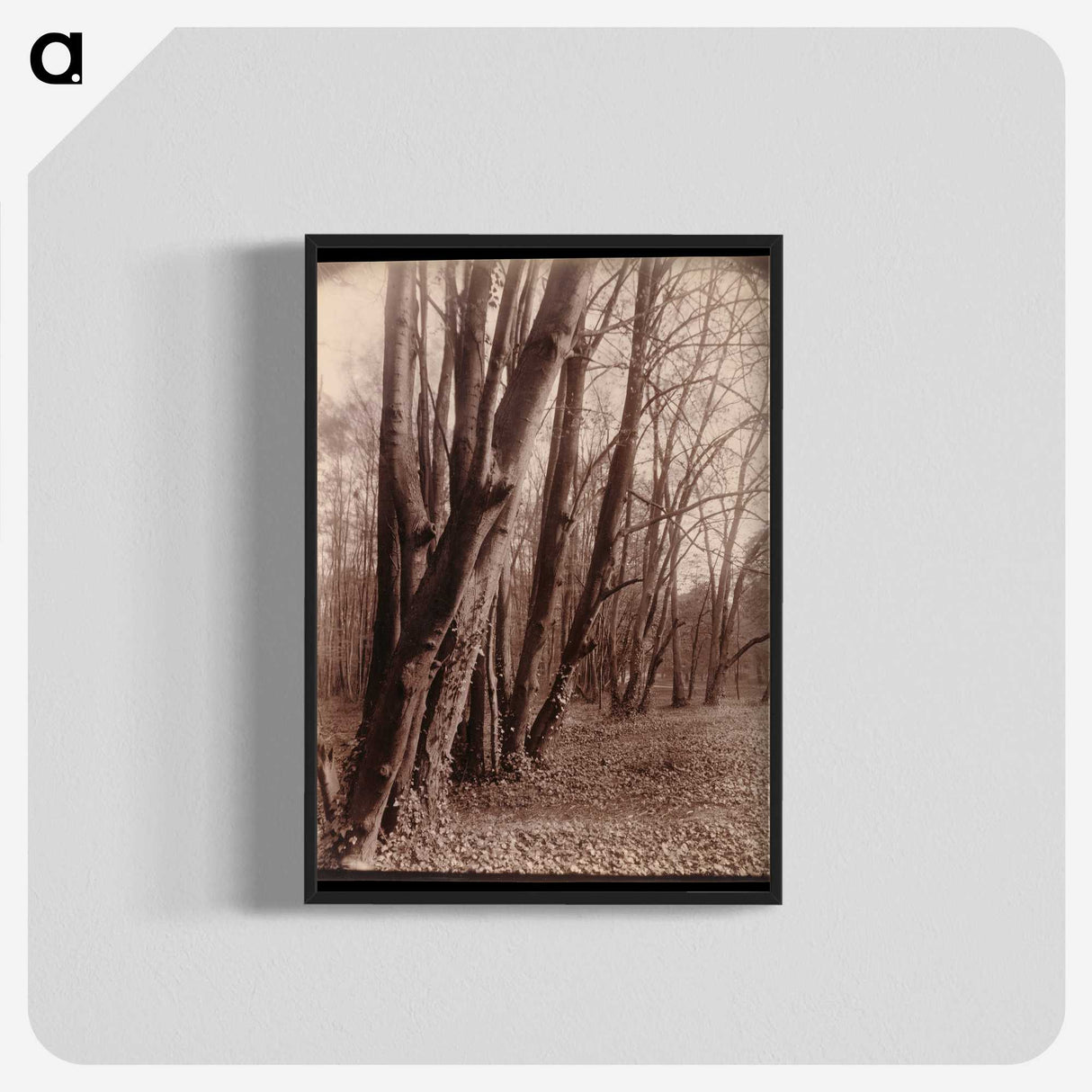 1-94_Eugene-Atget_blk-crop