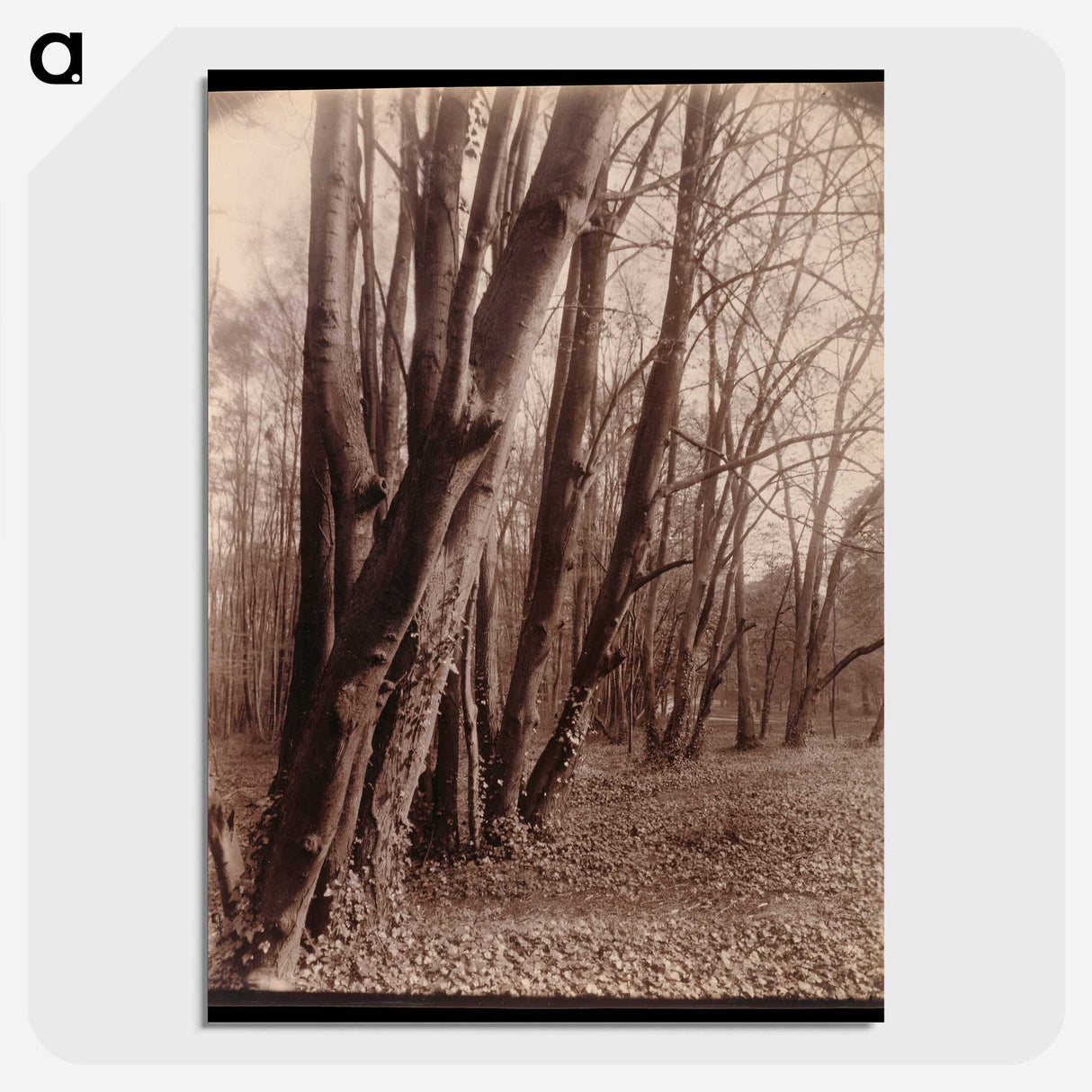 1-94_Eugene-Atget_picture-crop