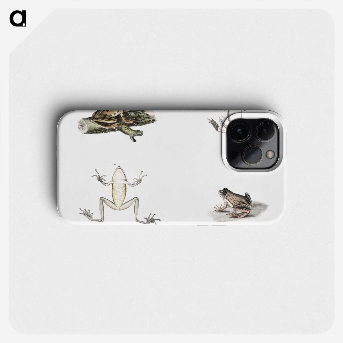 1-94_Indian-Zoology_phone