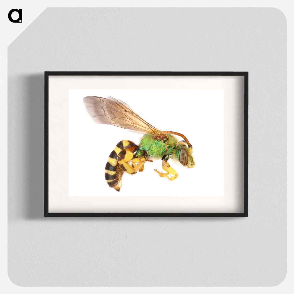 1-94_Insects-Unlocked-Project_blk