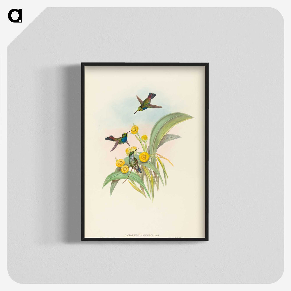 1-94_John-Gould_blk-crop