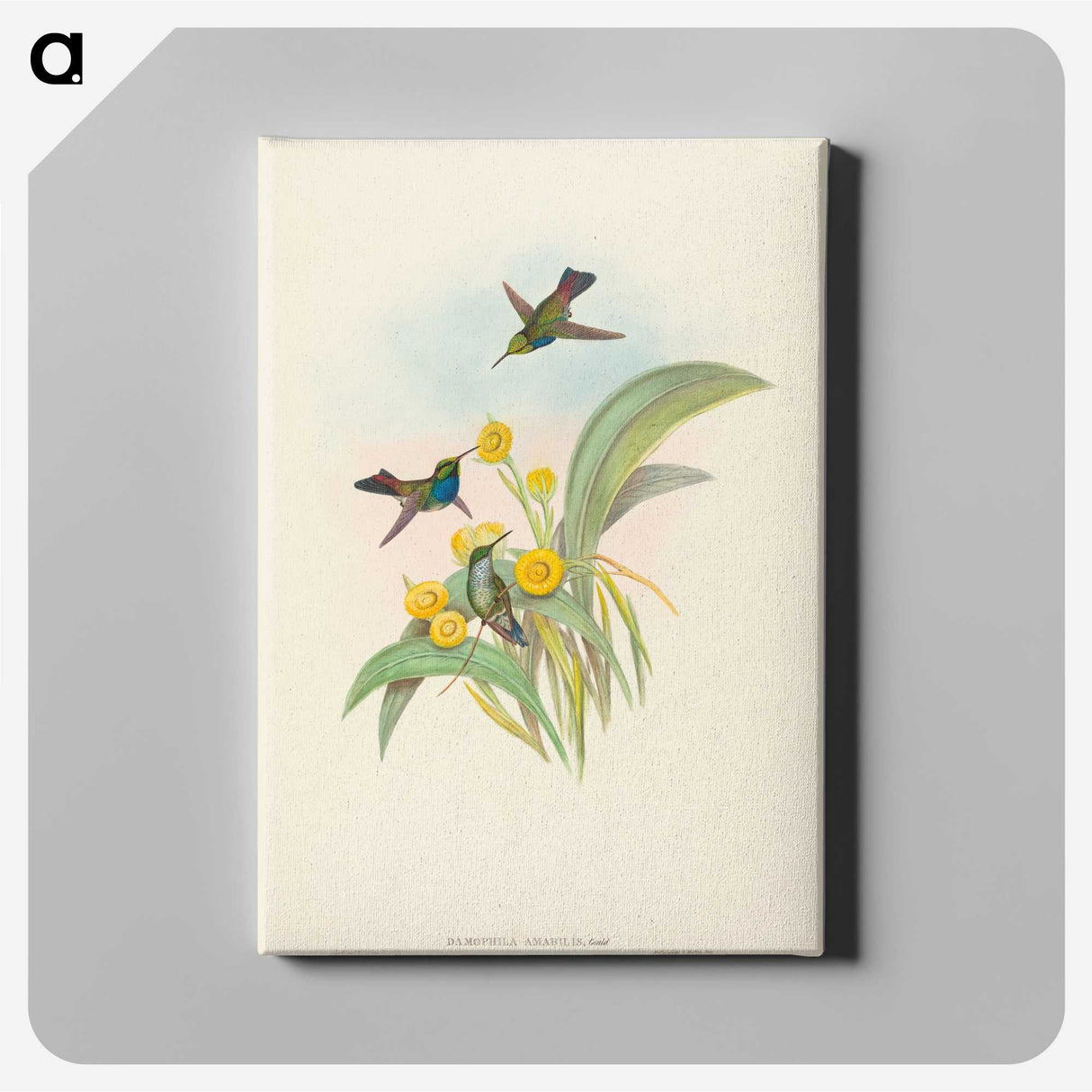 1-94_John-Gould_canvas