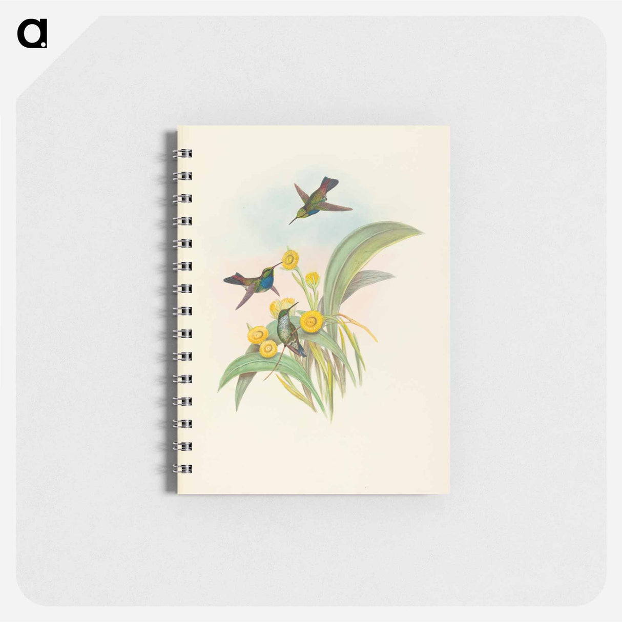 アートメモ帳-Blue-breasted Hummingbird
- ジョン グールド Memo.