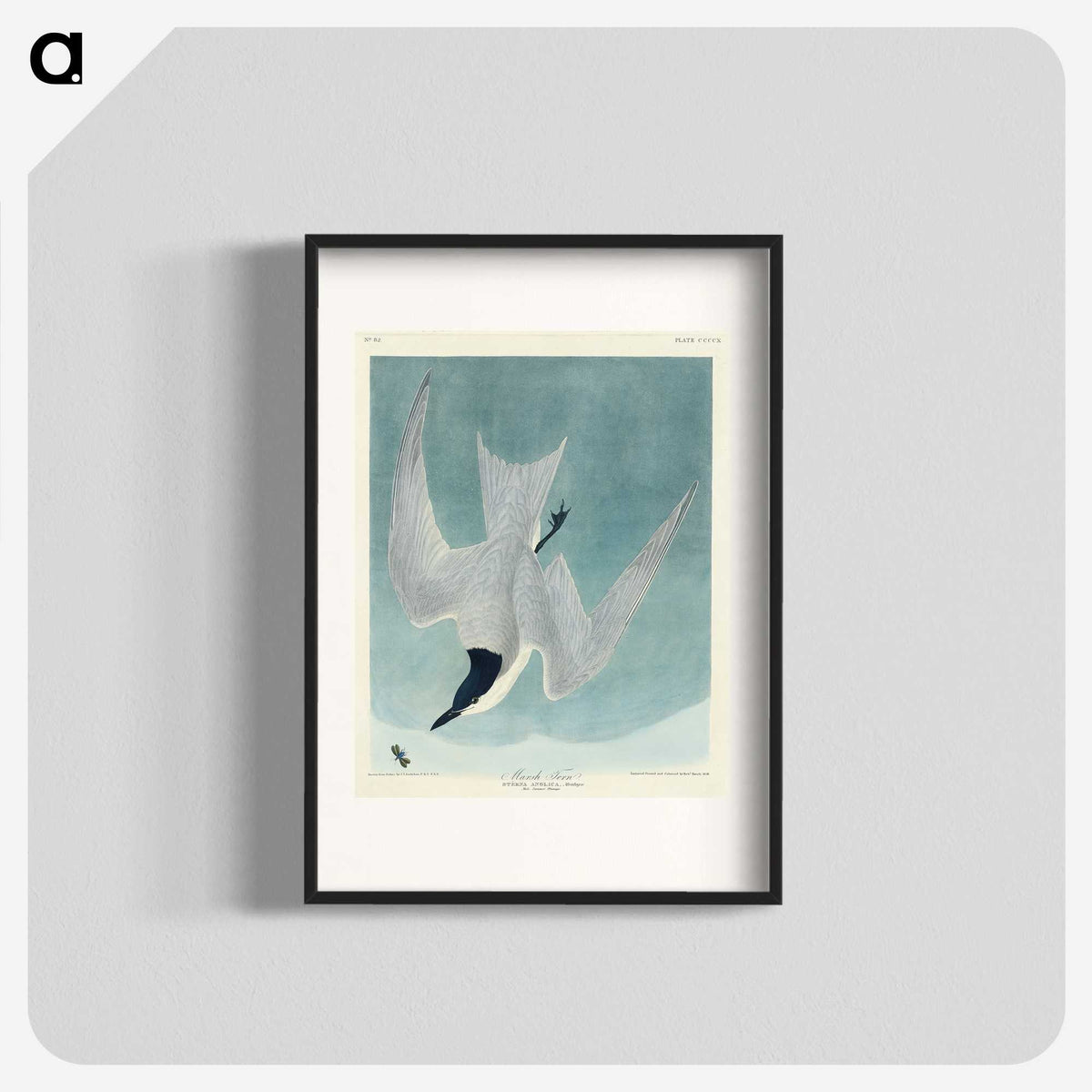1-94_John-James-Audubon_blk