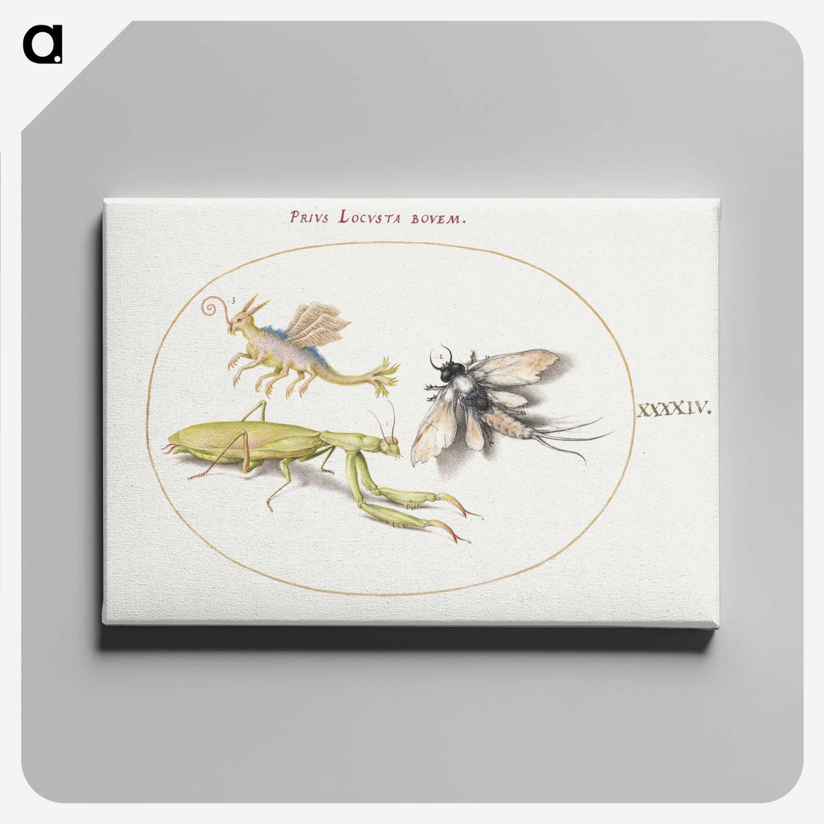 1-94_Joris-Hoefnagel_canvas