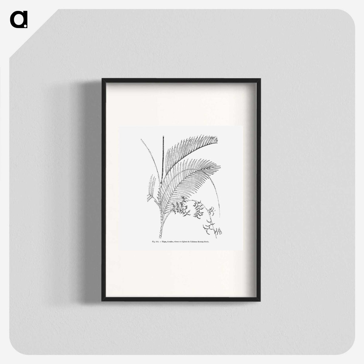 1-94_Les-Palmiers-Histoire-Iconographique_blk