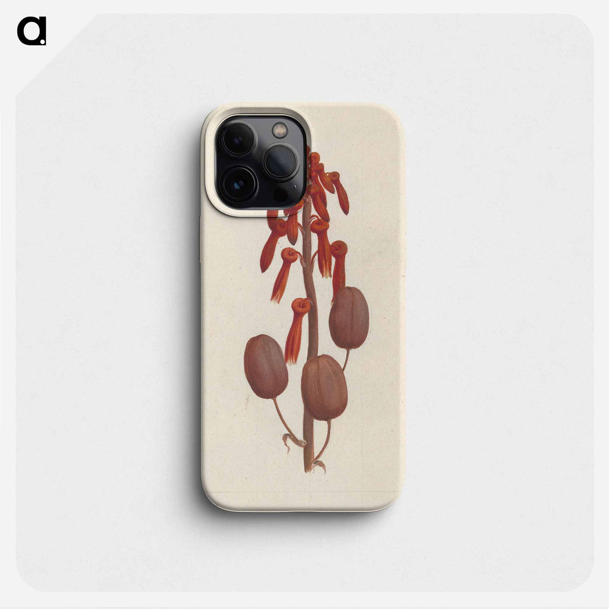 Aloe macrocarpa
- ルイージ バルガーニ Phone Case.