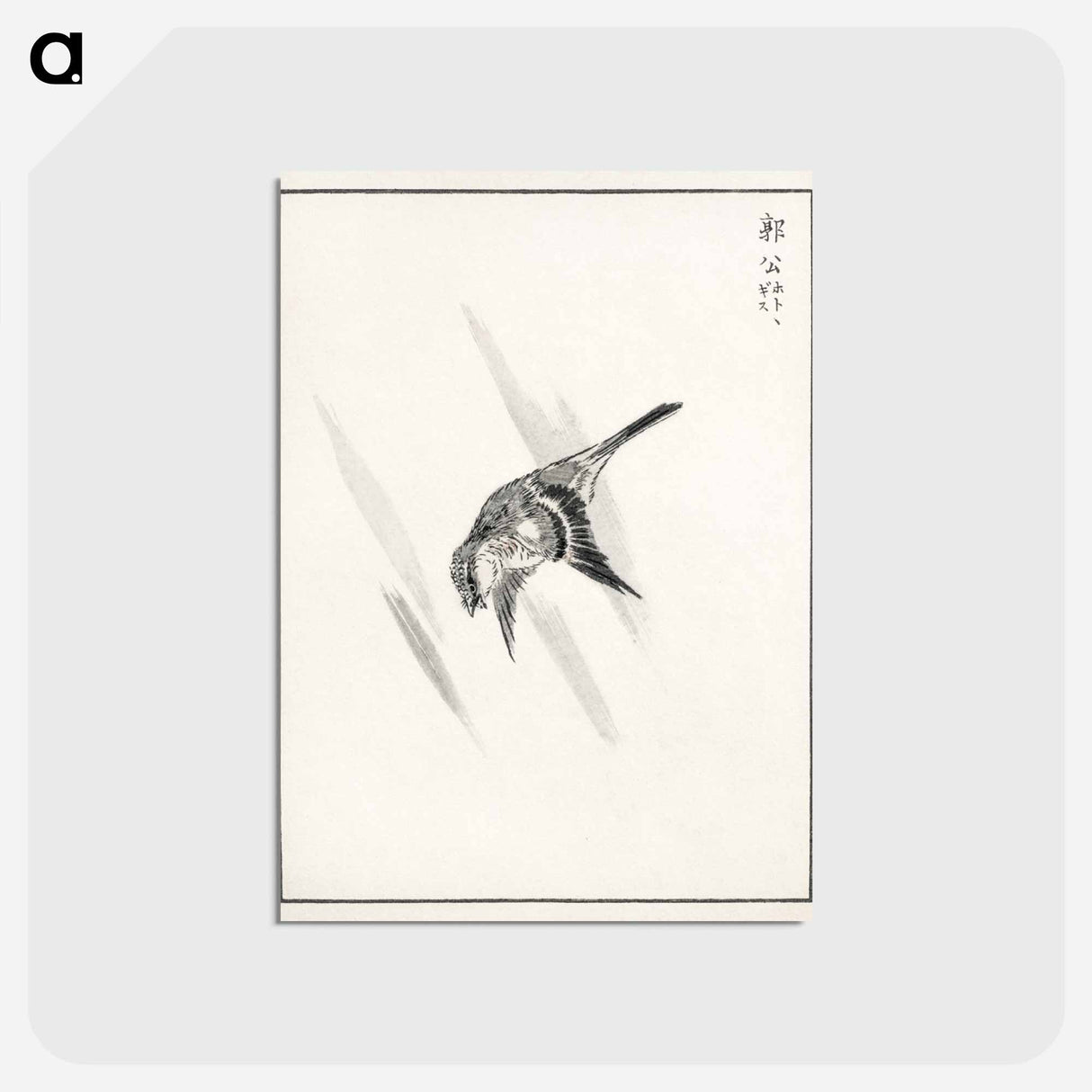 アートポストカード-Japanese Cuckoo
- 鳥類図鑑 Postcard.