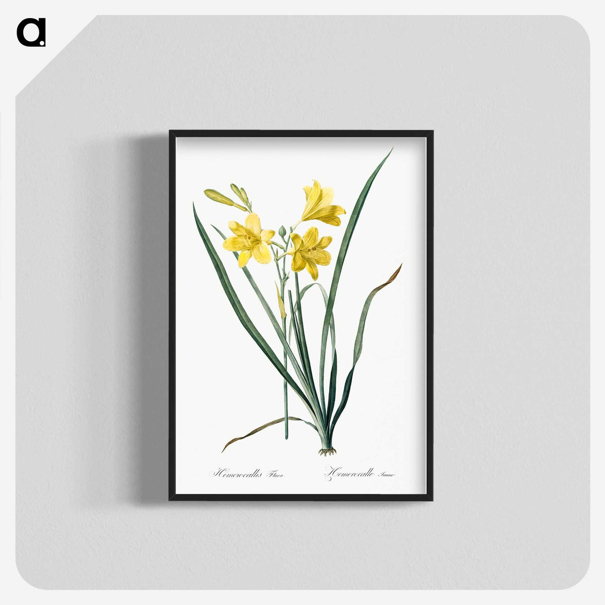 1-94_The-Lilies_blk-crop
