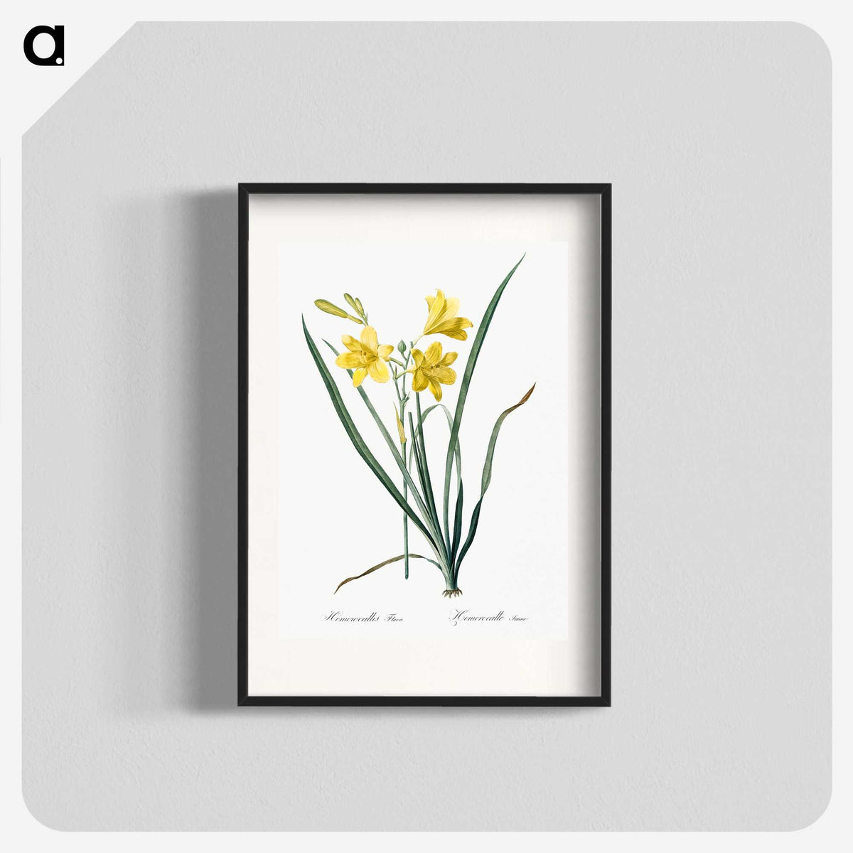 1-94_The-Lilies_blk