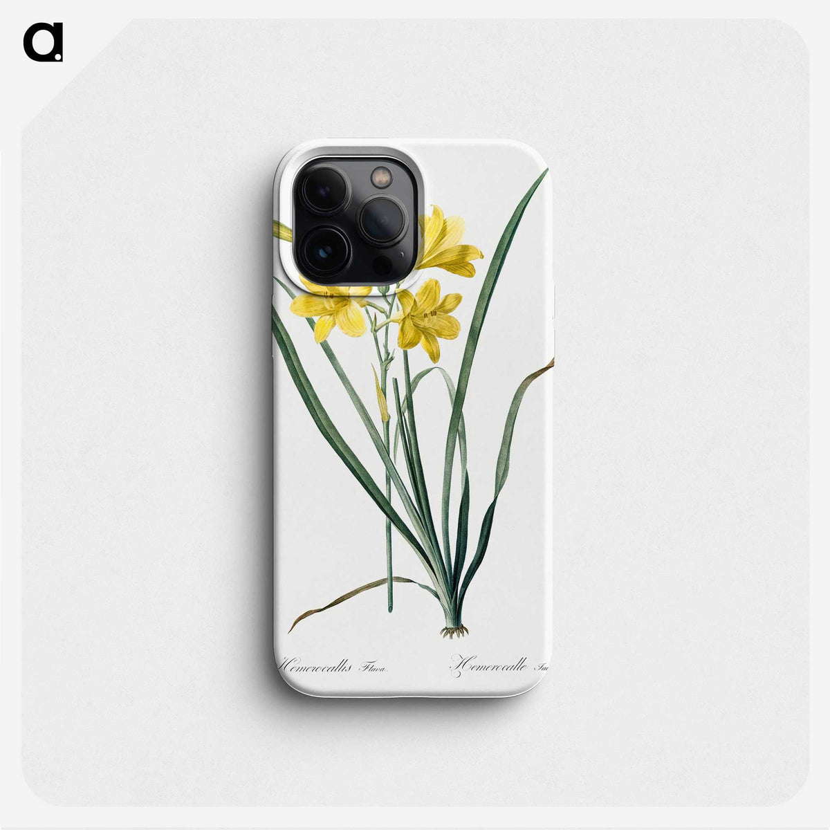 1-94_The-Lilies_phone