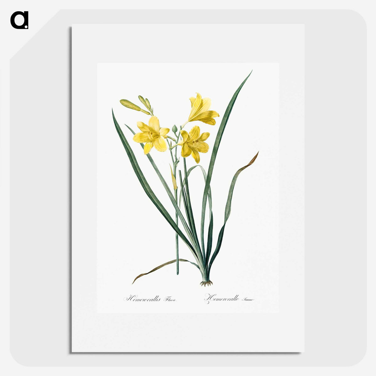 1-94_The-Lilies_picture