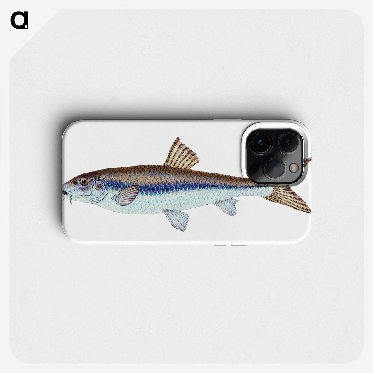 1-94_The-Natural-History-of-British-Fishes_phone