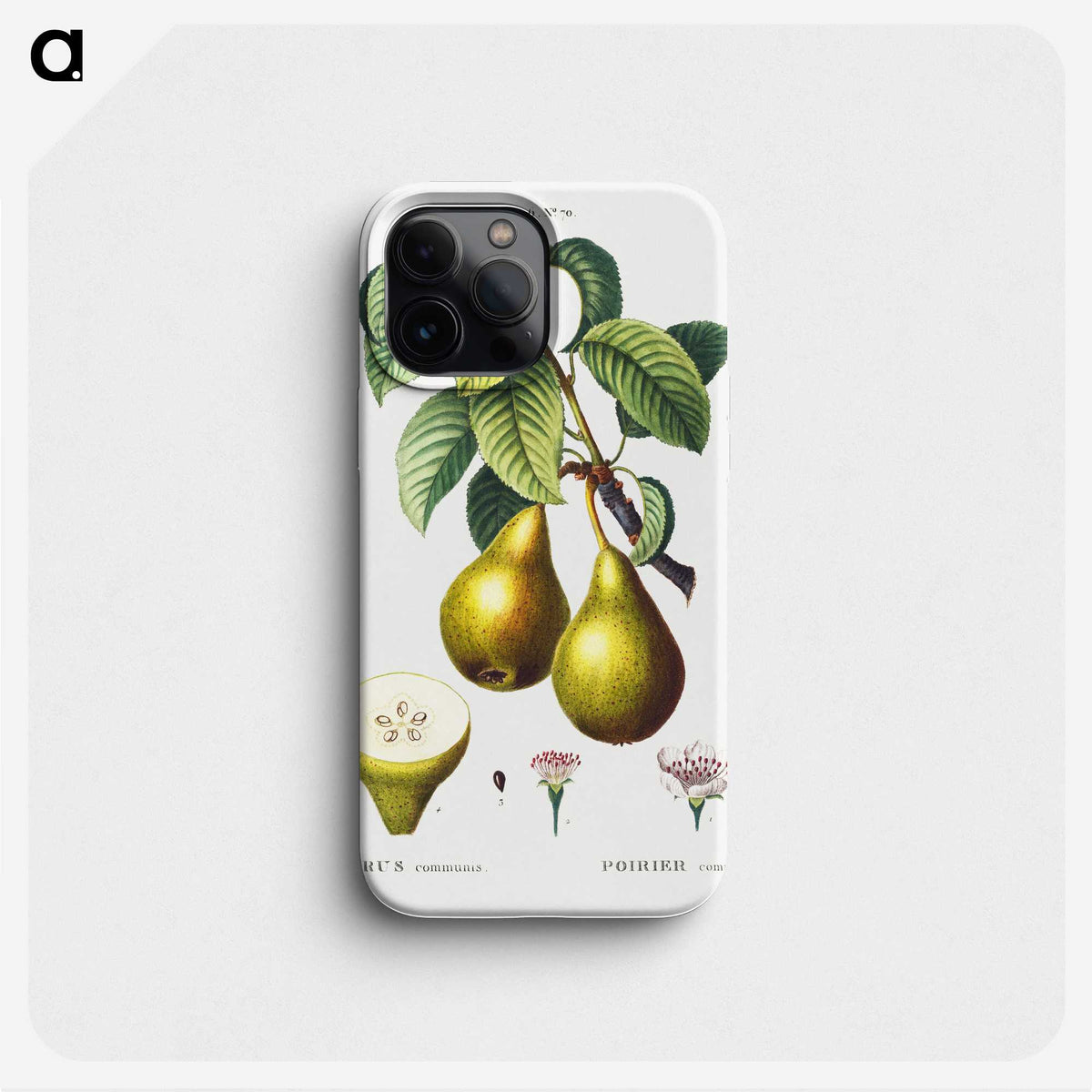 1-94_Treatise-on-Trees-and-Shrubs_phone