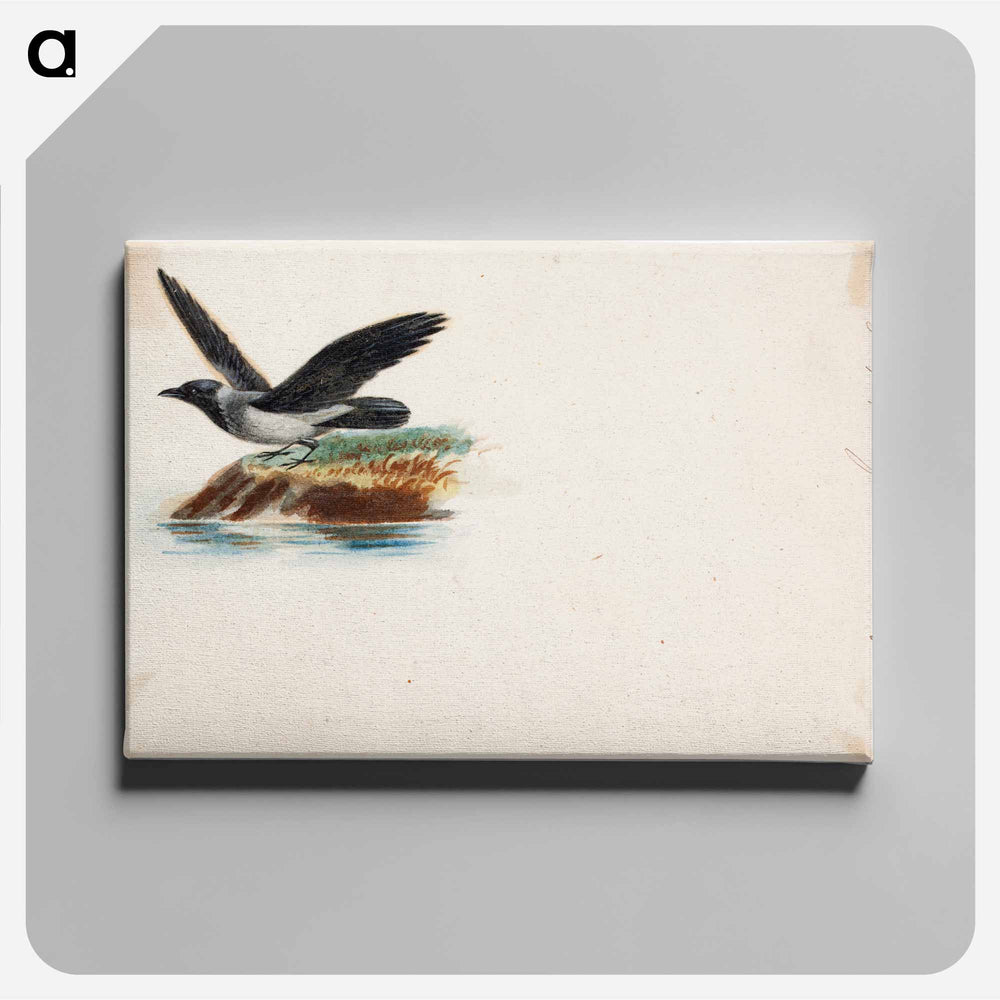 Crow - Wilhelm von Wright Canvas.