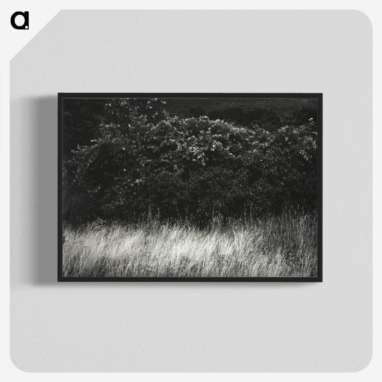 1-95_Alfred-Stieglitz_blk-crop