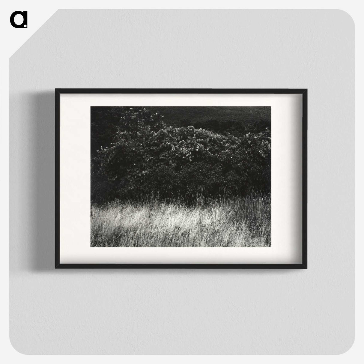 1-95_Alfred-Stieglitz_blk