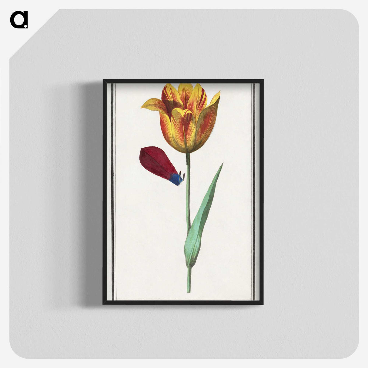 1-95_Anselmus-Boetius-de-Boodt_blk-crop