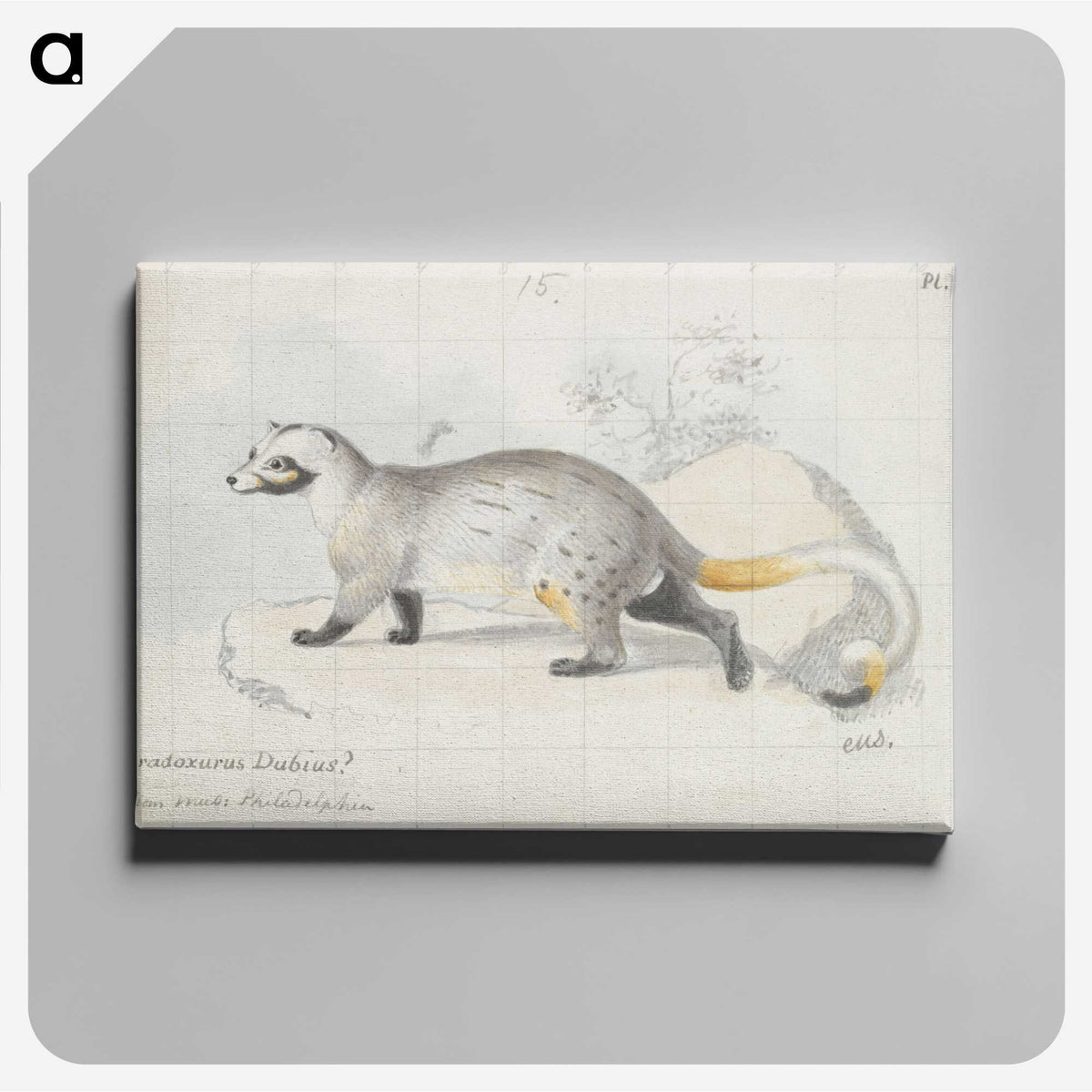 1-95_Charles-Hamilton-Smith_canvas