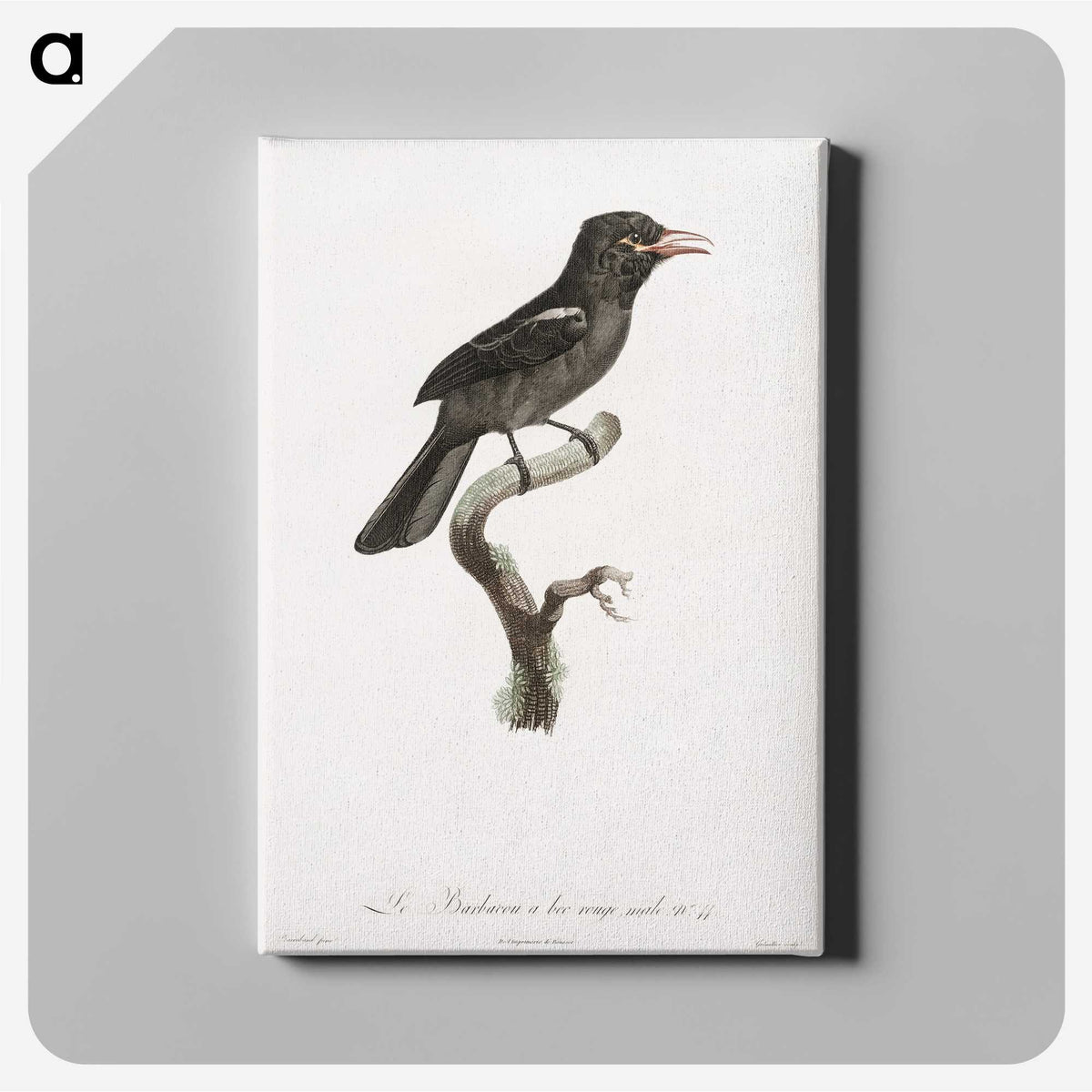 1-95_Des-Oiseaux-de-Paradis_canvas