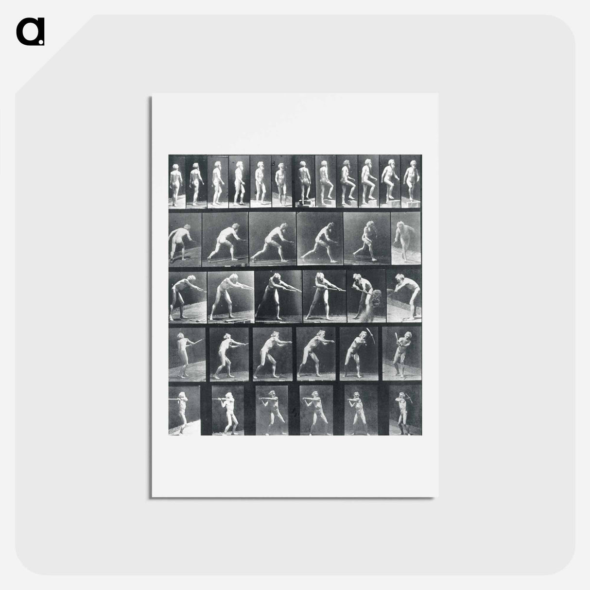 アートポストカード-Action Studies
- エドワード マイブリッジ Postcard.