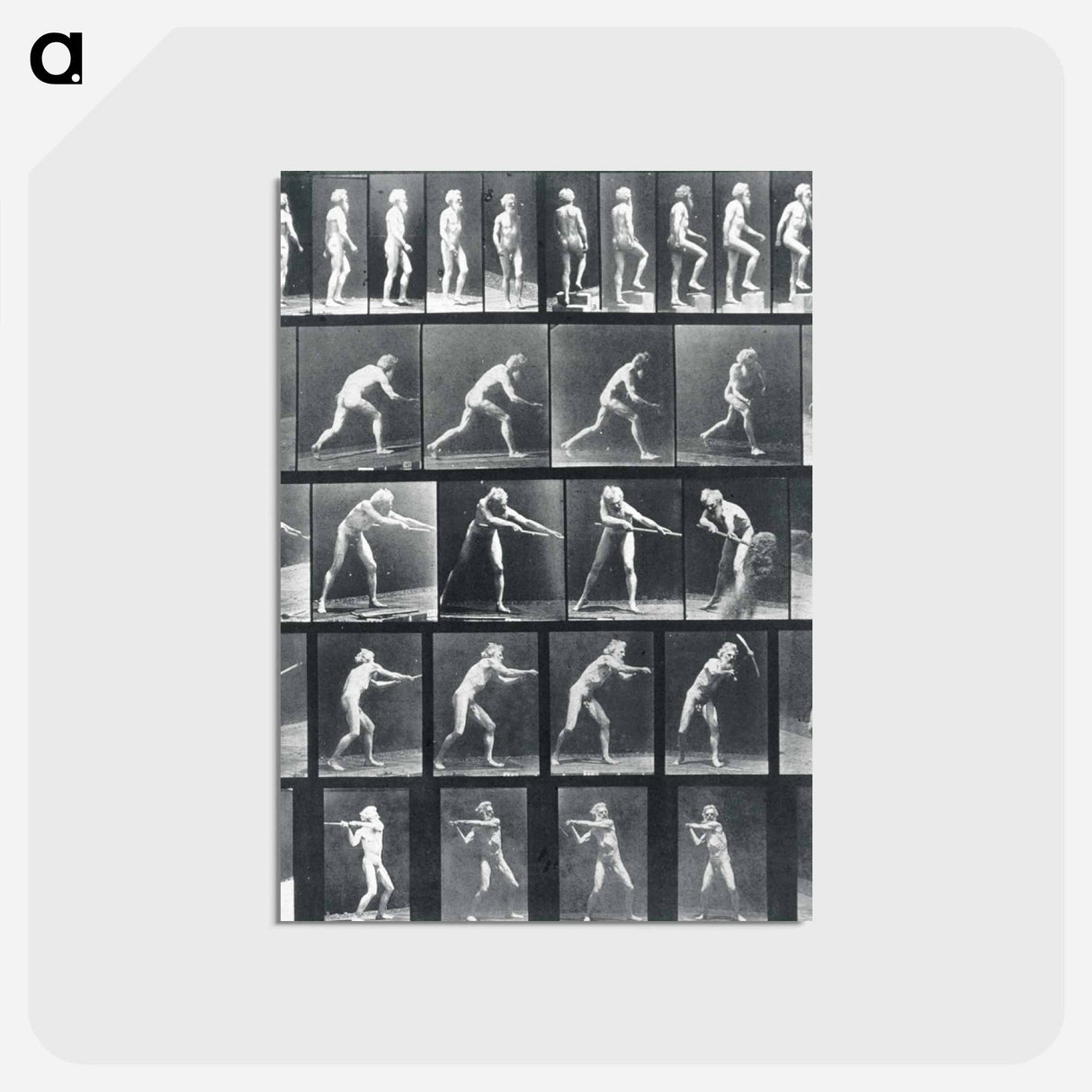 アートポストカード-Action Studies
- エドワード マイブリッジ Postcard.