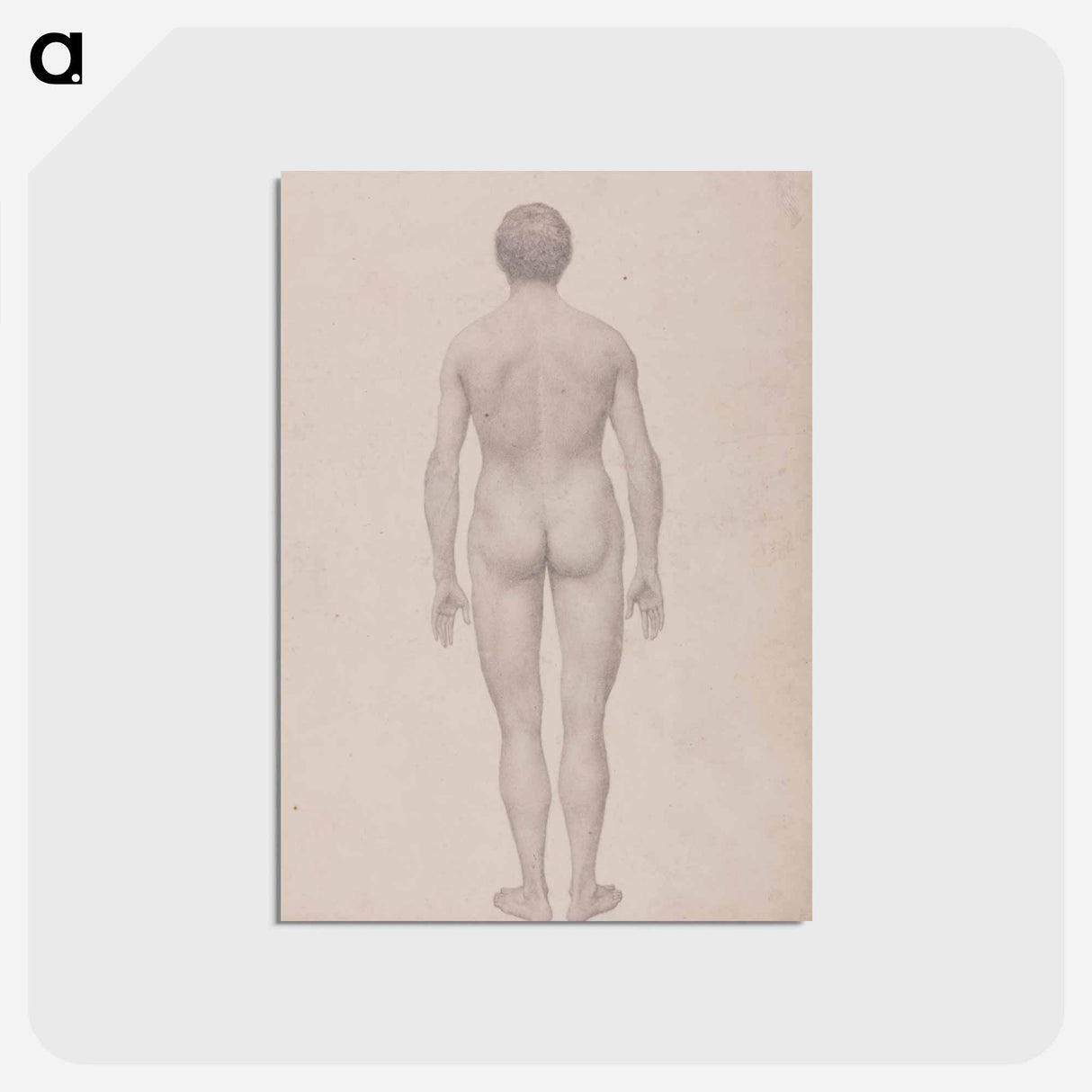アートポストカード-Human Figure, Posterior View
- ジョージ スタッブス Postcard.