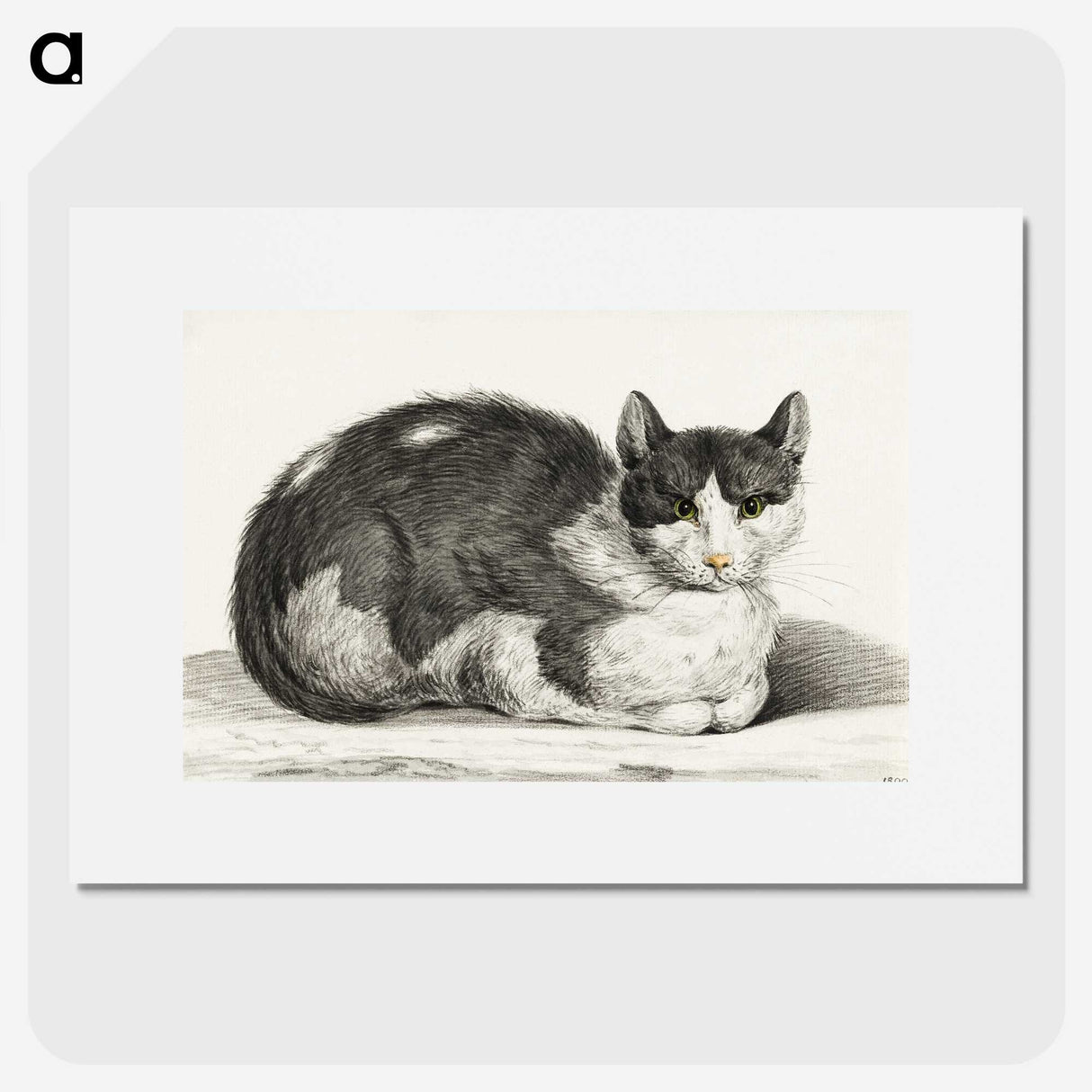 1-95_Jean-Bernard_picture