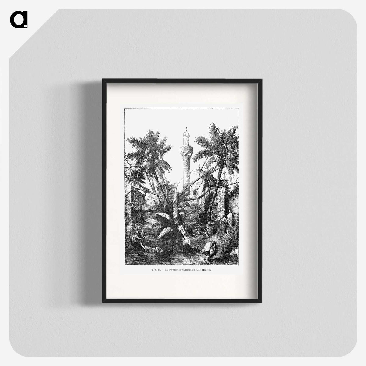 1-95_Les-Palmiers-Histoire-Iconographique_blk