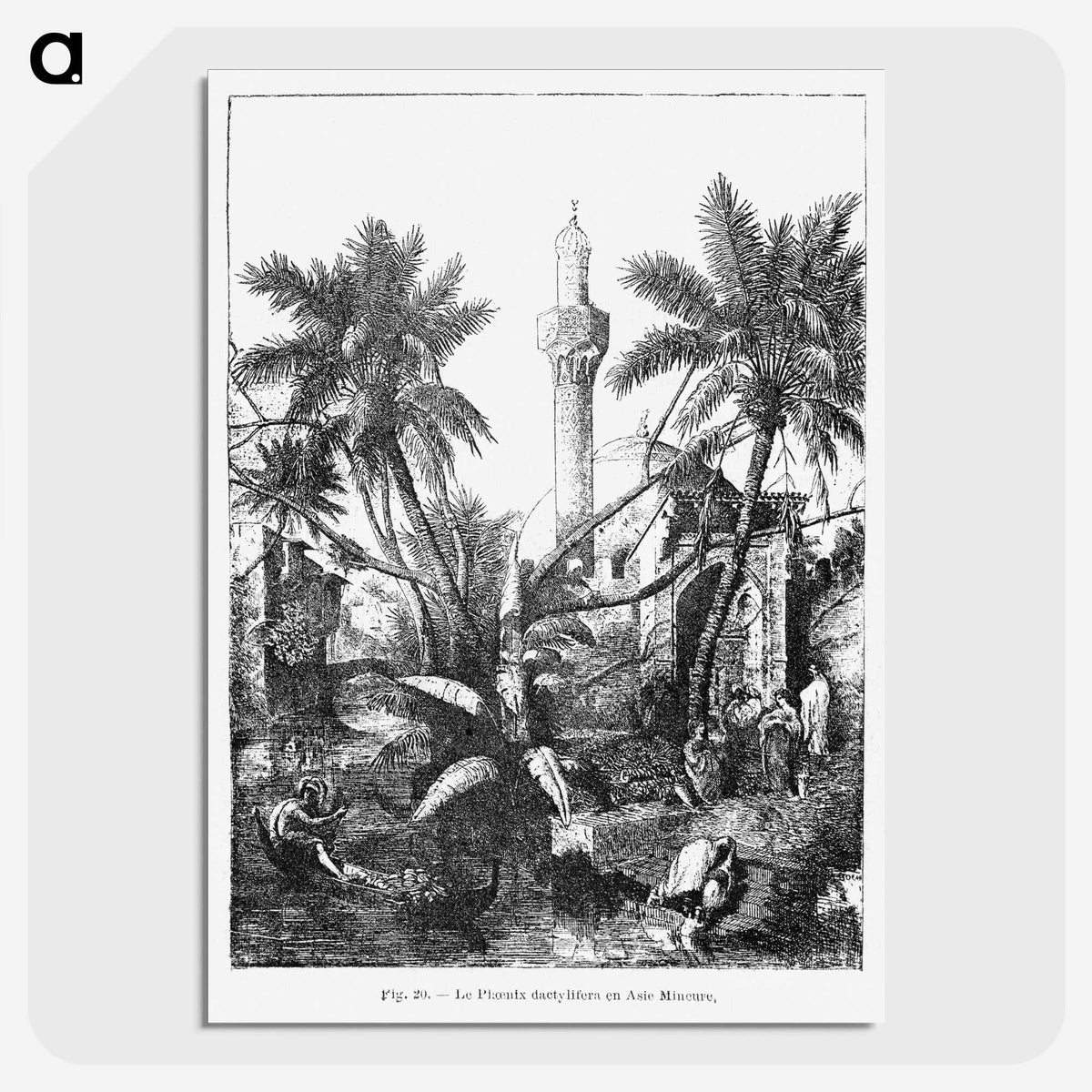 1-95_Les-Palmiers-Histoire-Iconographique_picture-crop