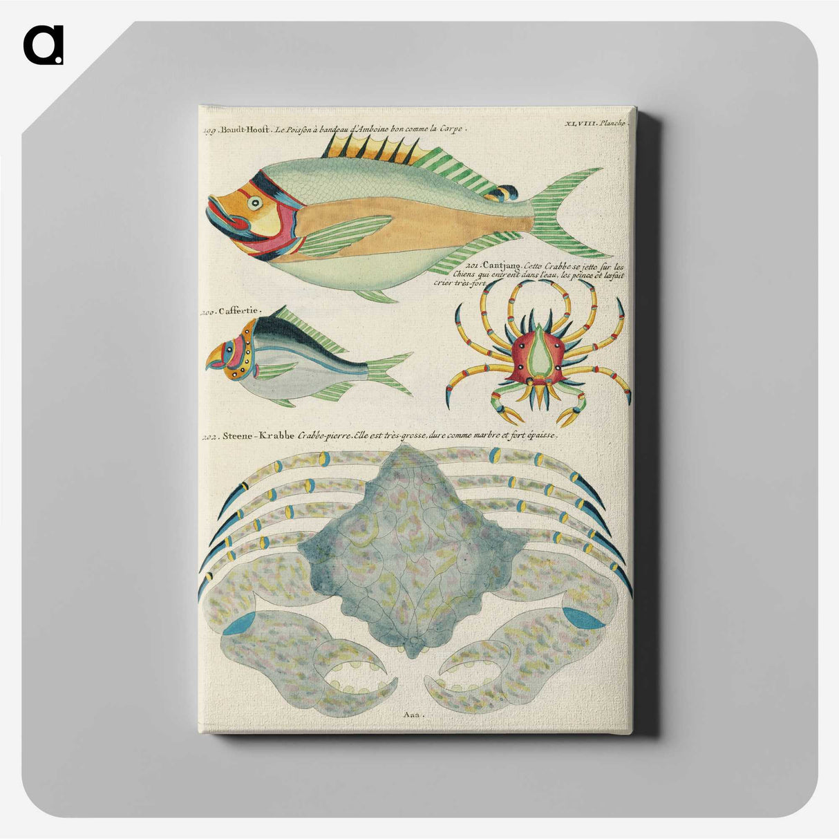 1-95_Louis-Renard_canvas