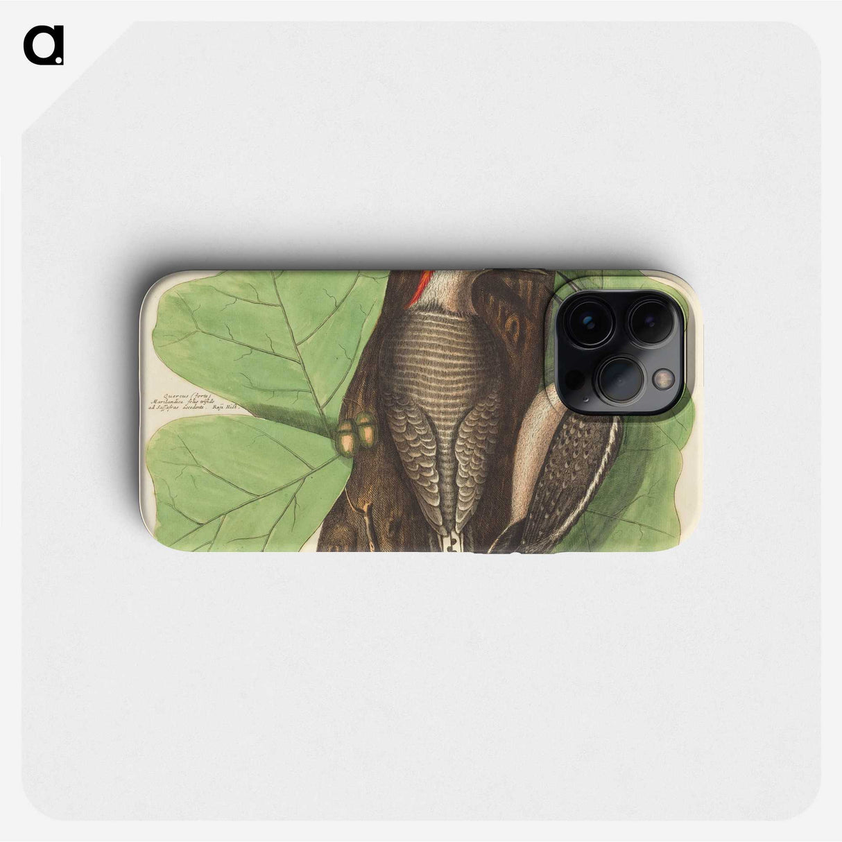 1-95_Mark-Catesby_phone