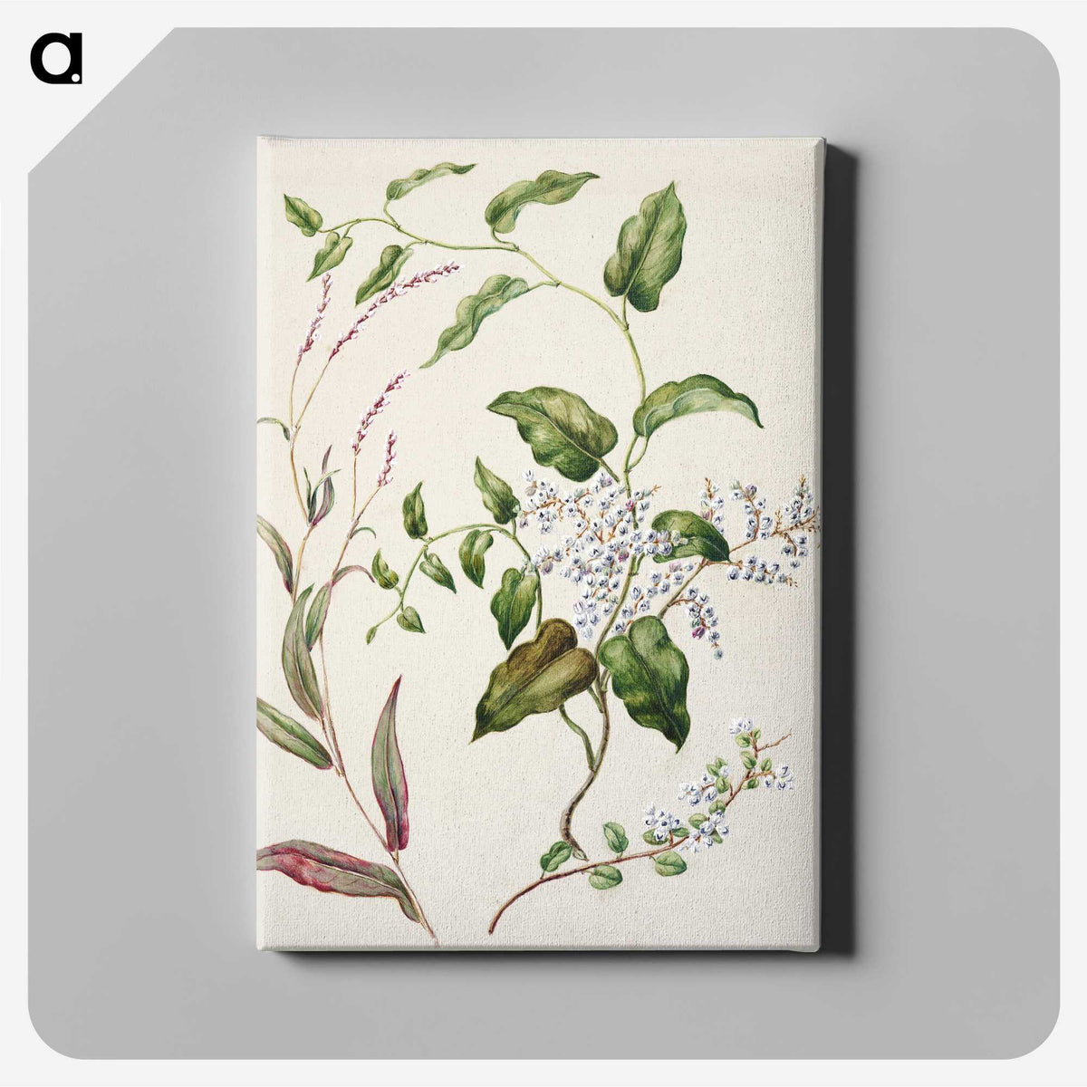 1-95_Native-Flowering-Plants-of-New-Zealand_canvas