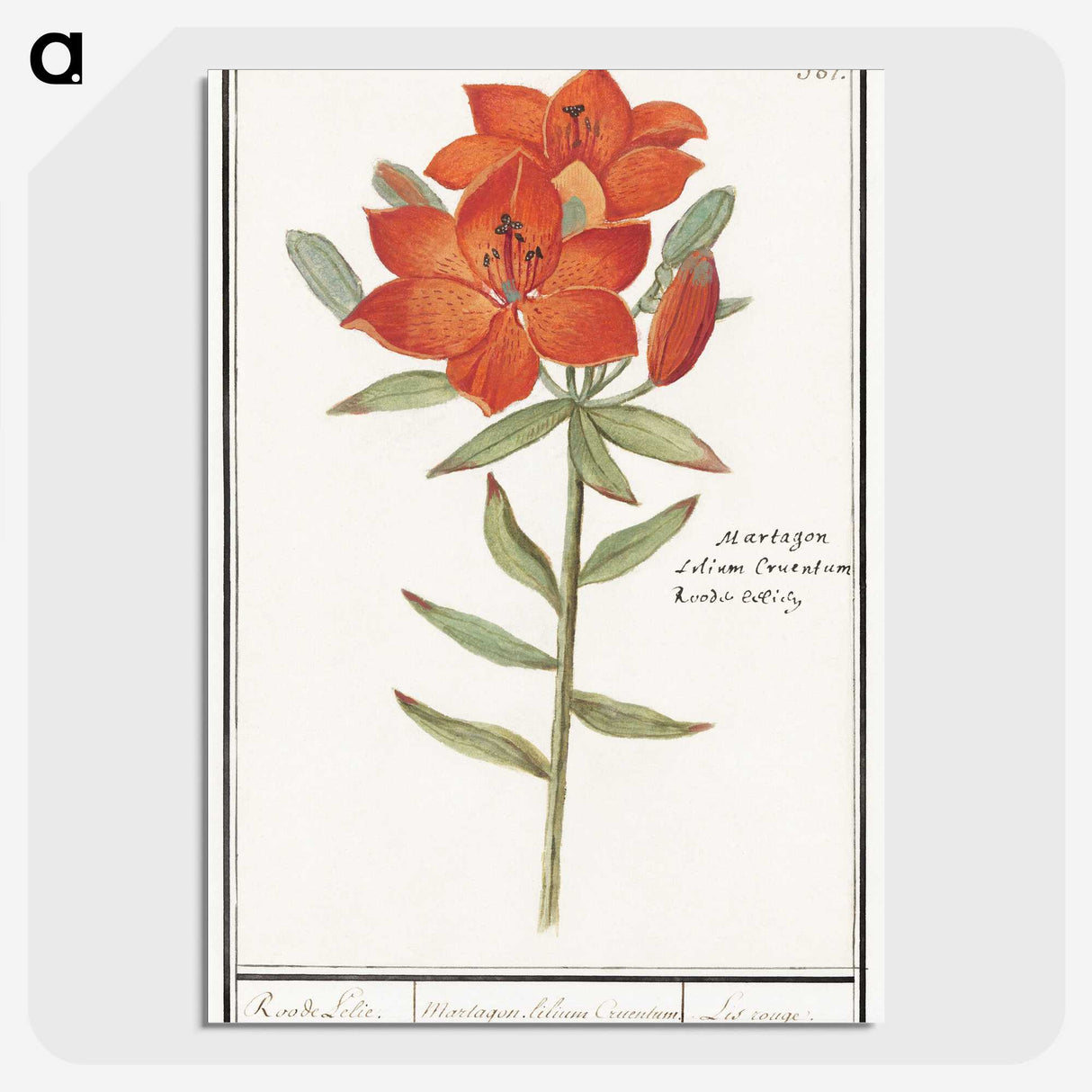1-96_Anselmus-Boetius-de-Boodt_picture-crop
