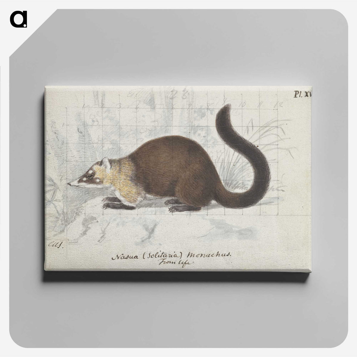 1-96_Charles-Hamilton-Smith_canvas