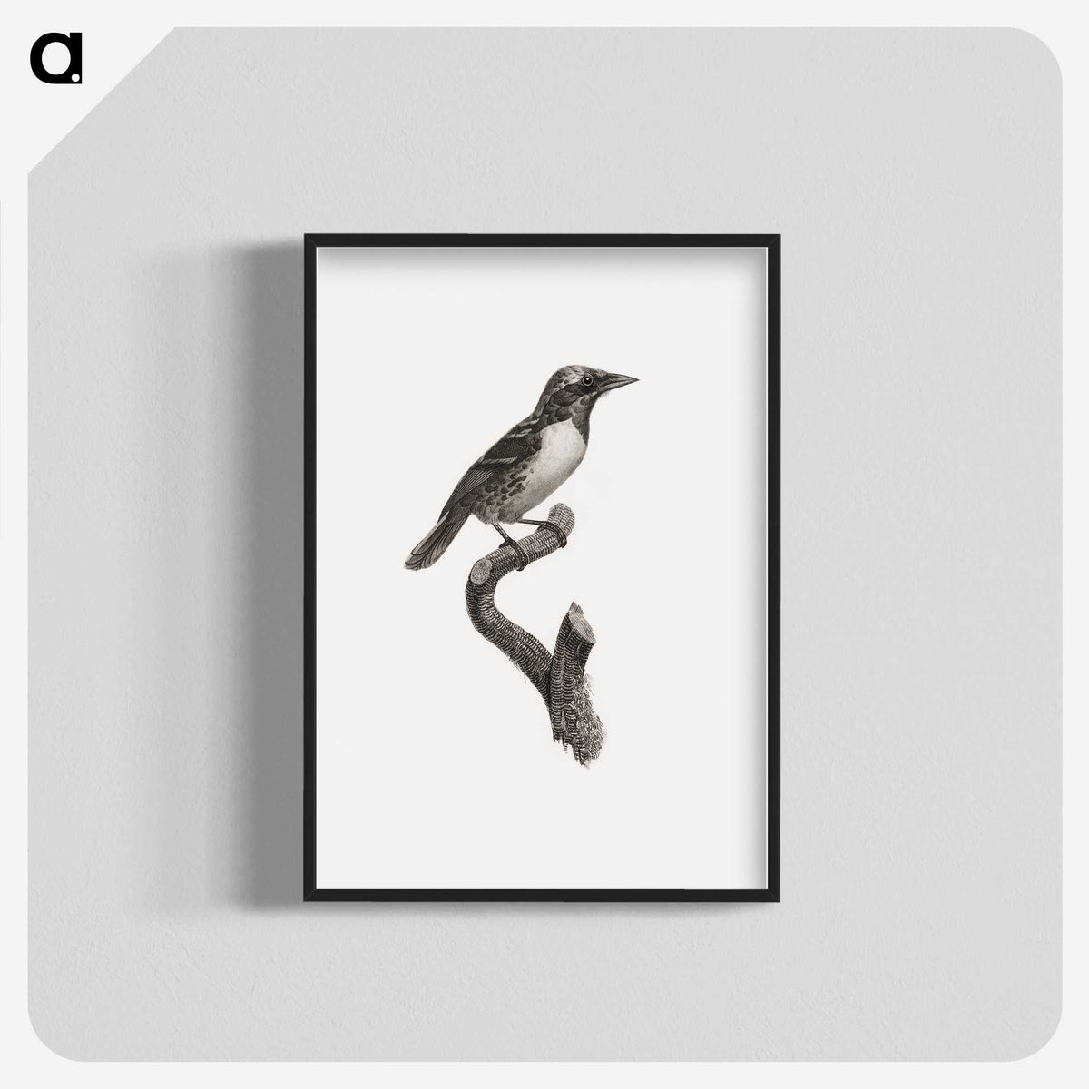 1-96_Des-Oiseaux-de-Paradis_blk-crop