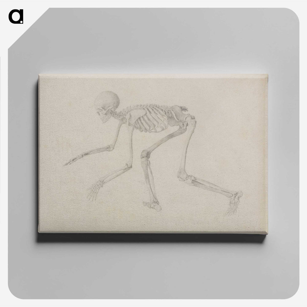 1-96_George-Stubbs_canvas