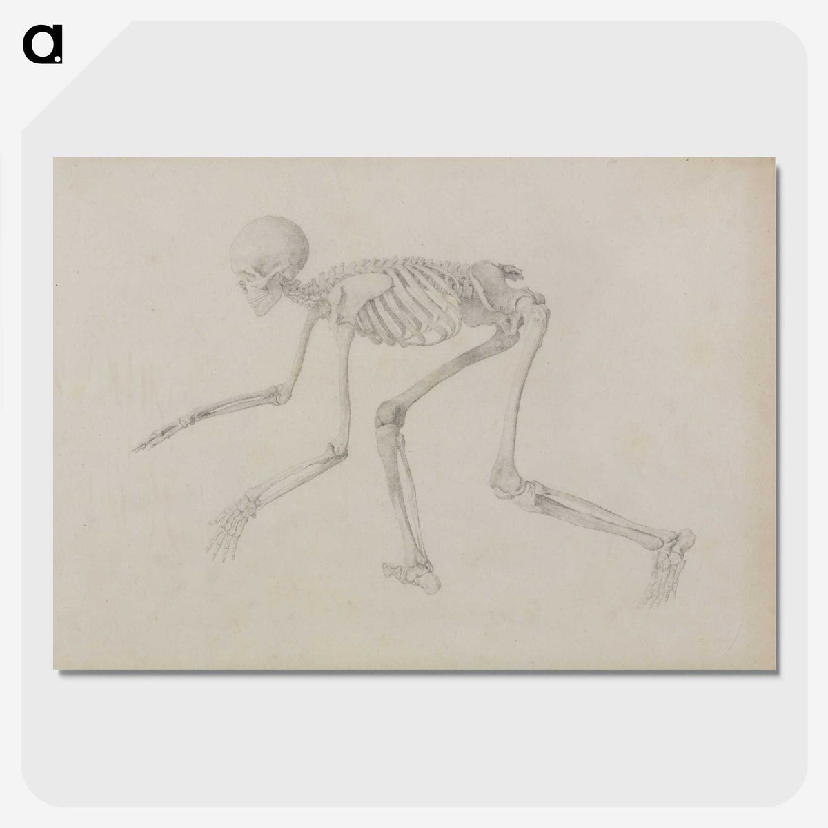 1-96_George-Stubbs_picture-crop