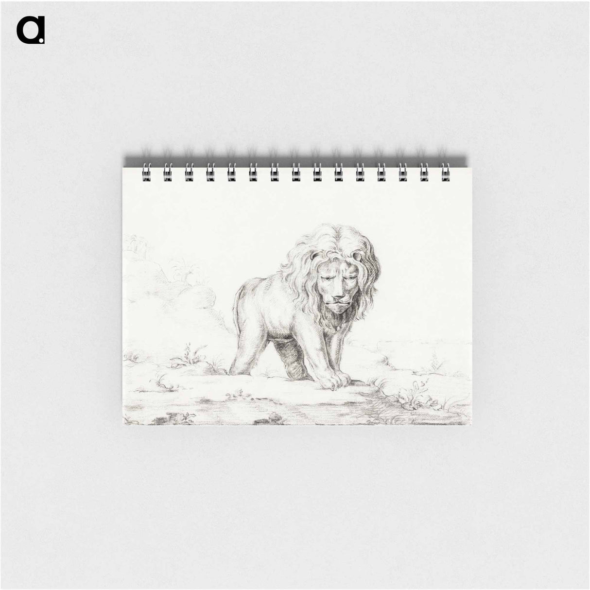 Lion - ジャン ベルナール Memo.