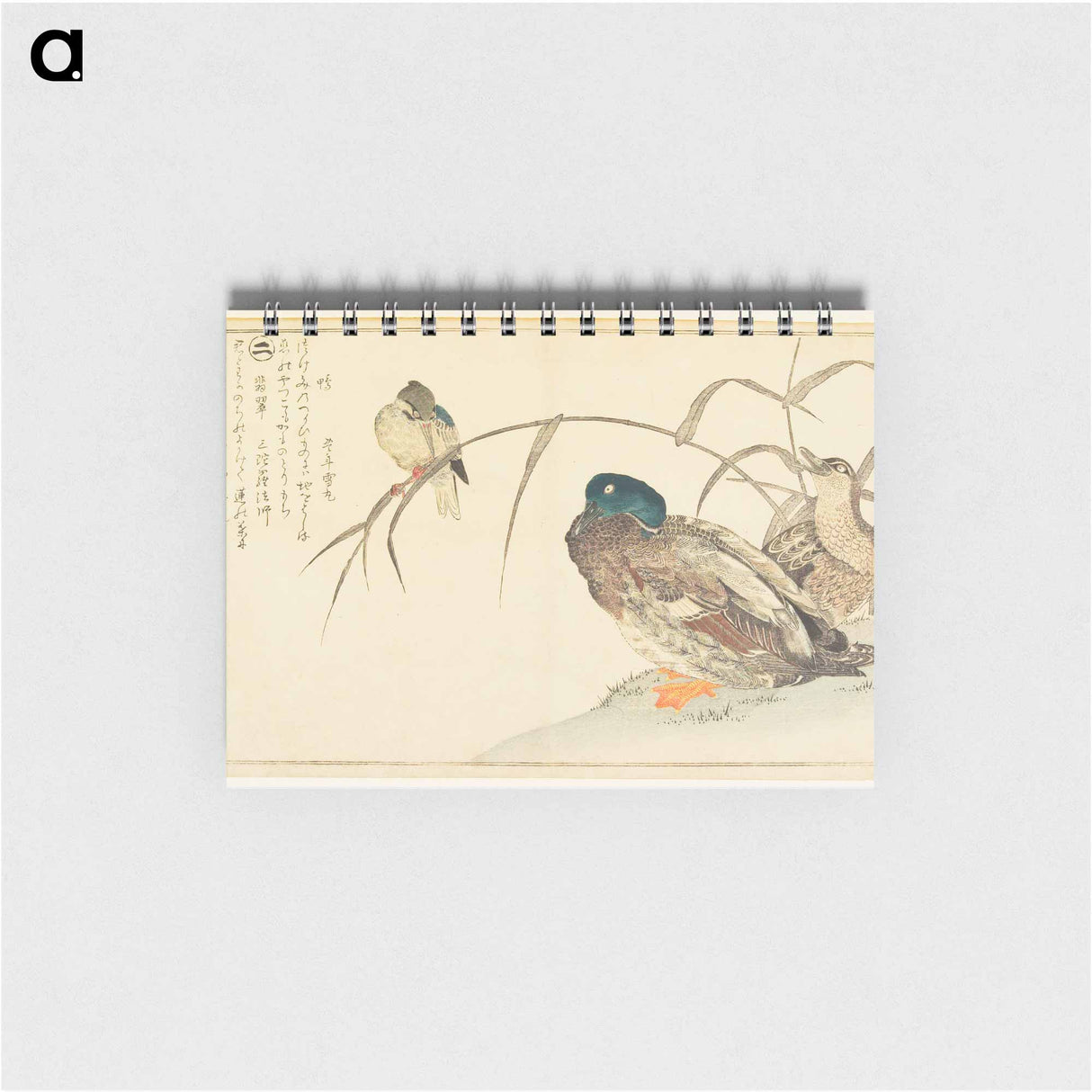 Mallards and a Kingfisher - 喜多川 歌麿 Memo.